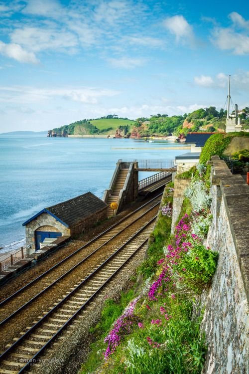 This may contain: a train traveling down tracks next to the ocean