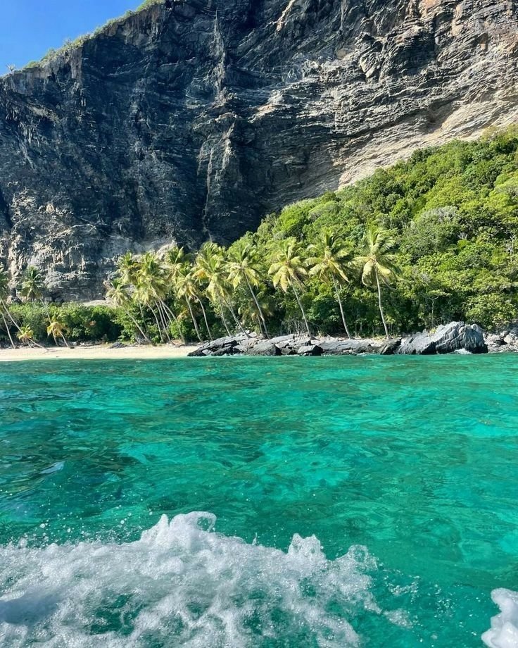 This may contain: the water is crystal blue and clear with palm trees on either side of the beach
