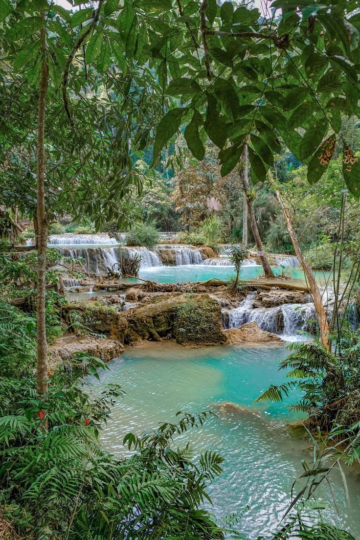 This may contain: the blue pool is surrounded by greenery and waterfalls in the jungle, with water cascading over it