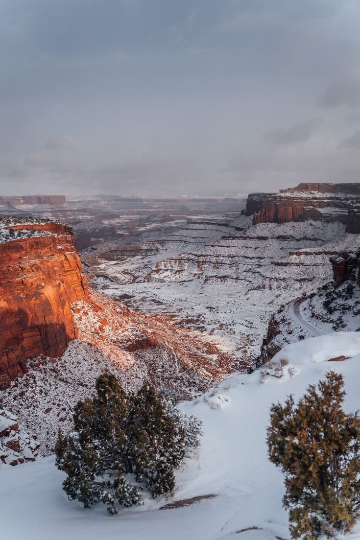 This may contain: snow covers the ground and trees in front of a canyon with red rock formations on either side