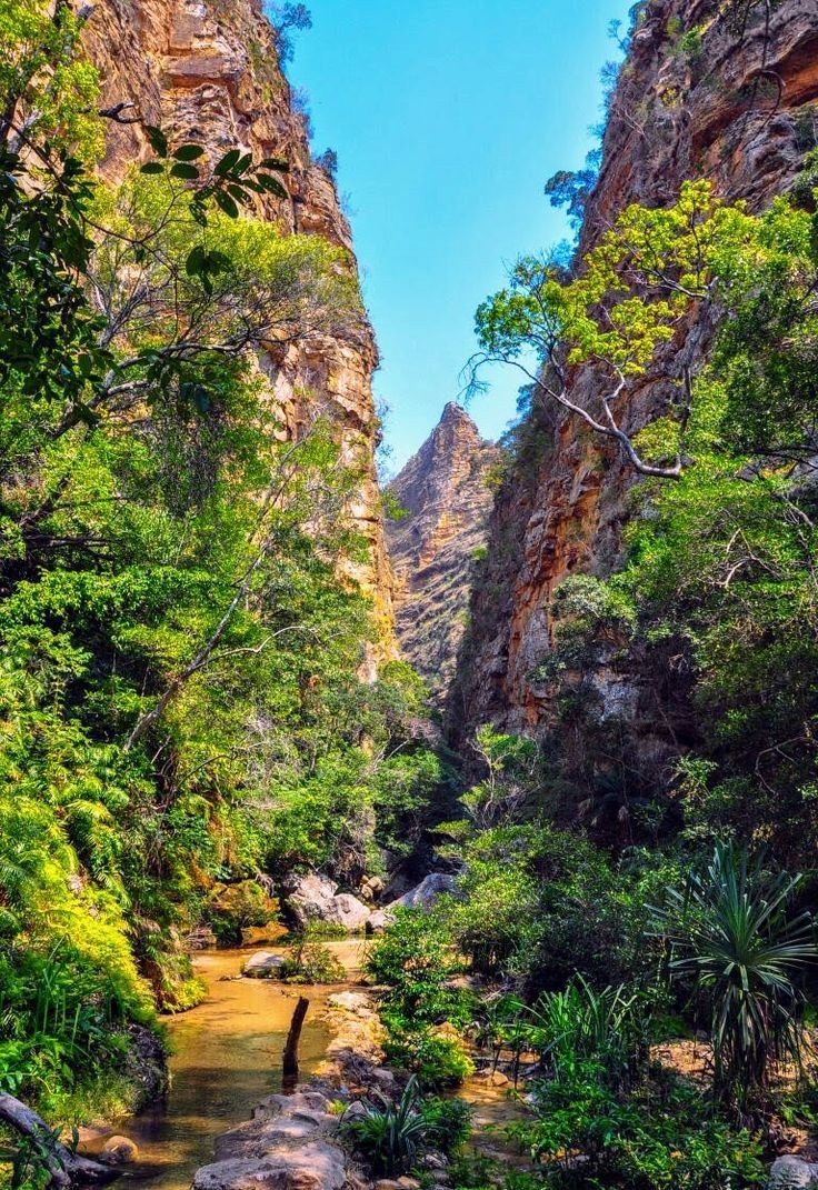 This may contain: a river flowing through a lush green forest filled with rocks and trees, surrounded by tall mountains