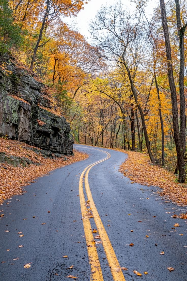 "🌲🚗 Explore the Blue Ridge Parkway! Swipe through our carousel to see lush landscapes, breathtaking views, and fall foliage along this scenic route through the Appalachian Mountains. 🍁🏞️ #BlueRidgeParkway #ScenicDrive #FallFoliage"