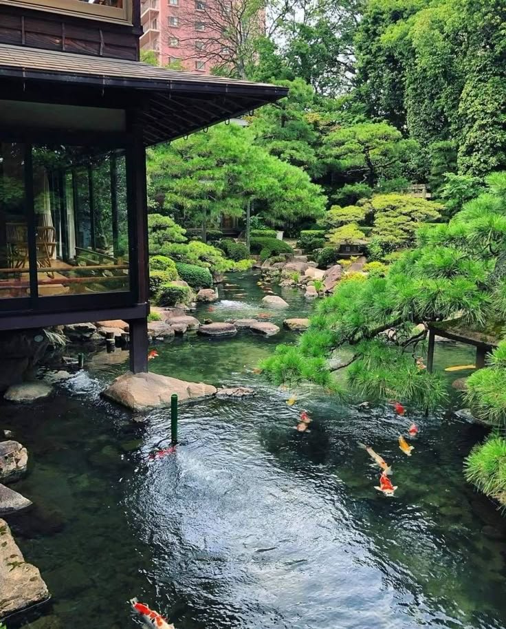This may contain: several people are swimming in the water near some rocks and trees with green leaves on them