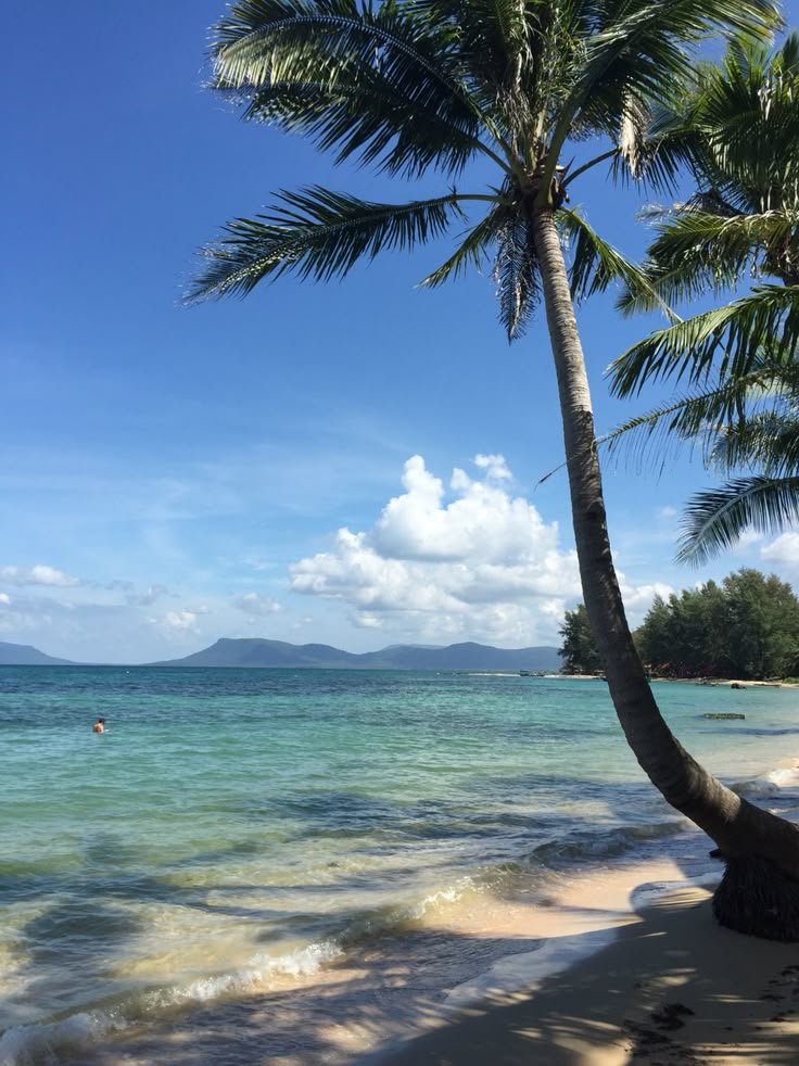 This may contain: a palm tree sitting on top of a sandy beach next to the ocean with mountains in the background