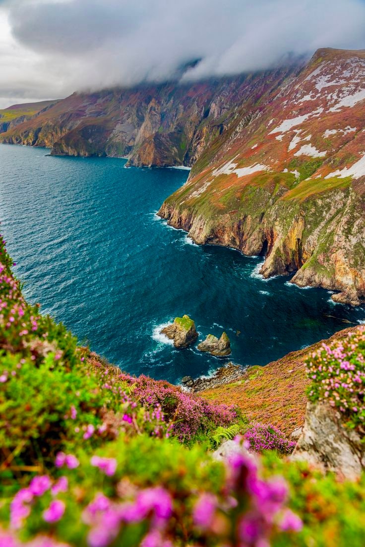 This may contain: the coast is surrounded by wildflowers and cliffs