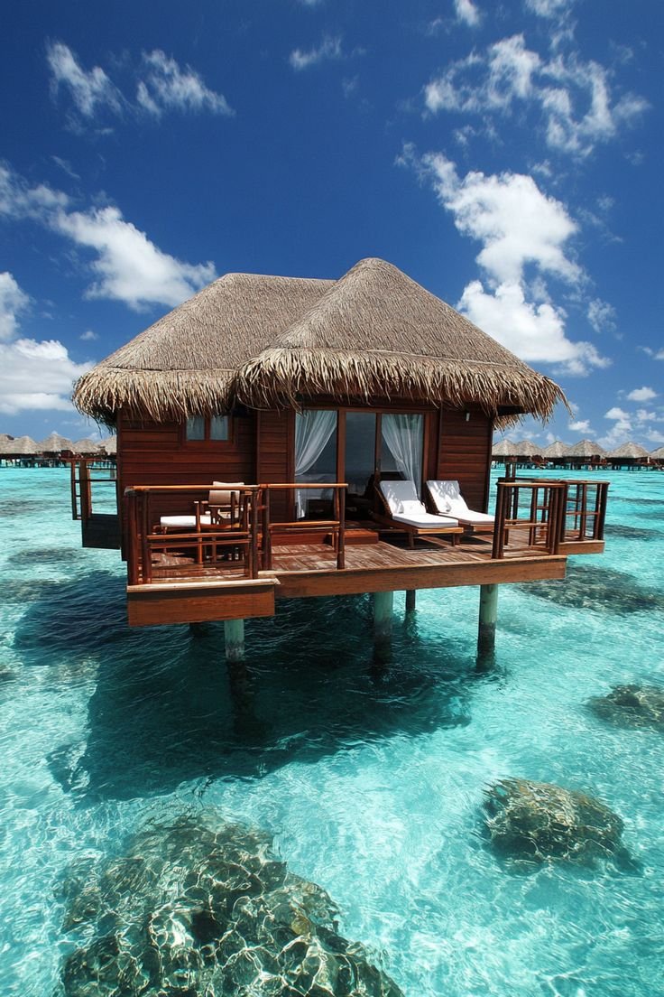 "🌴💞 Dive into tropical romance in Bora Bora with our Pinterest Carousel! Enjoy overwater bungalows, crystal-clear waters, and dreamy sunsets. 🌅🏝️ #BoraBoraRomance #TropicalParadise #DreamVacation"