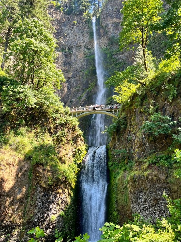 This may contain: a waterfall with a bridge over it and people standing on the side watching from below