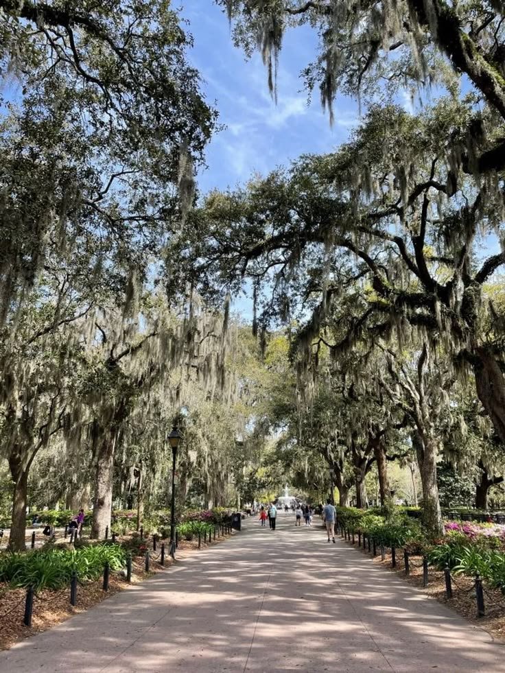 This may contain: people are walking down the street under trees with spanish moss hanging over them and benches along both sides