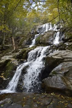 This may contain: a waterfall in the woods with rocks and leaves