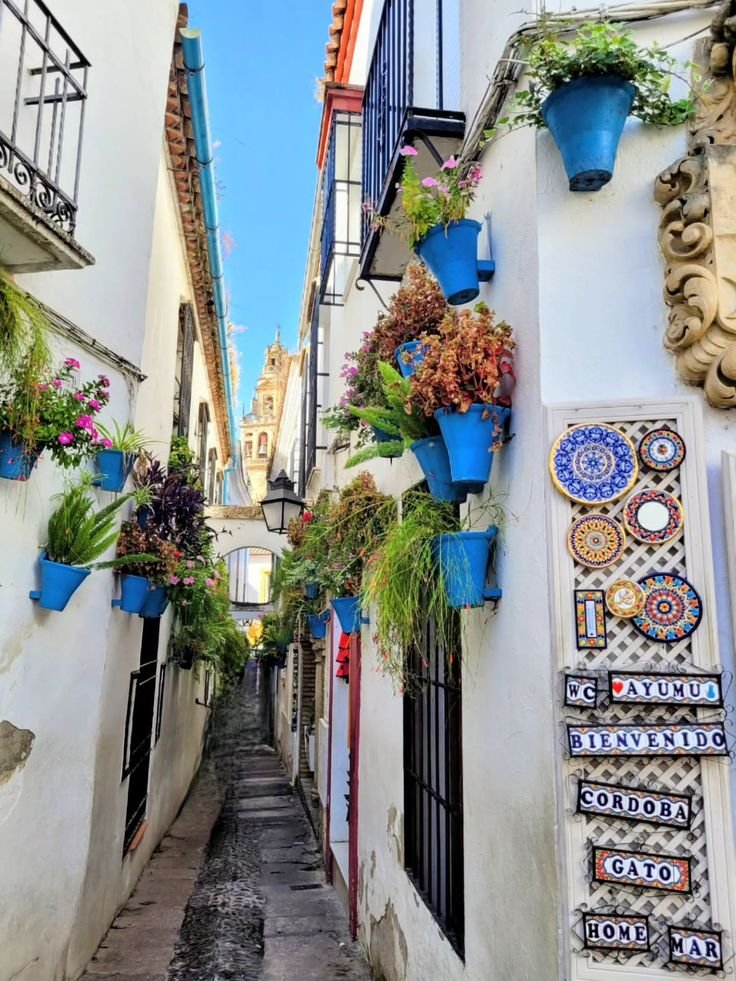 This may contain: an alleyway with potted plants and windows