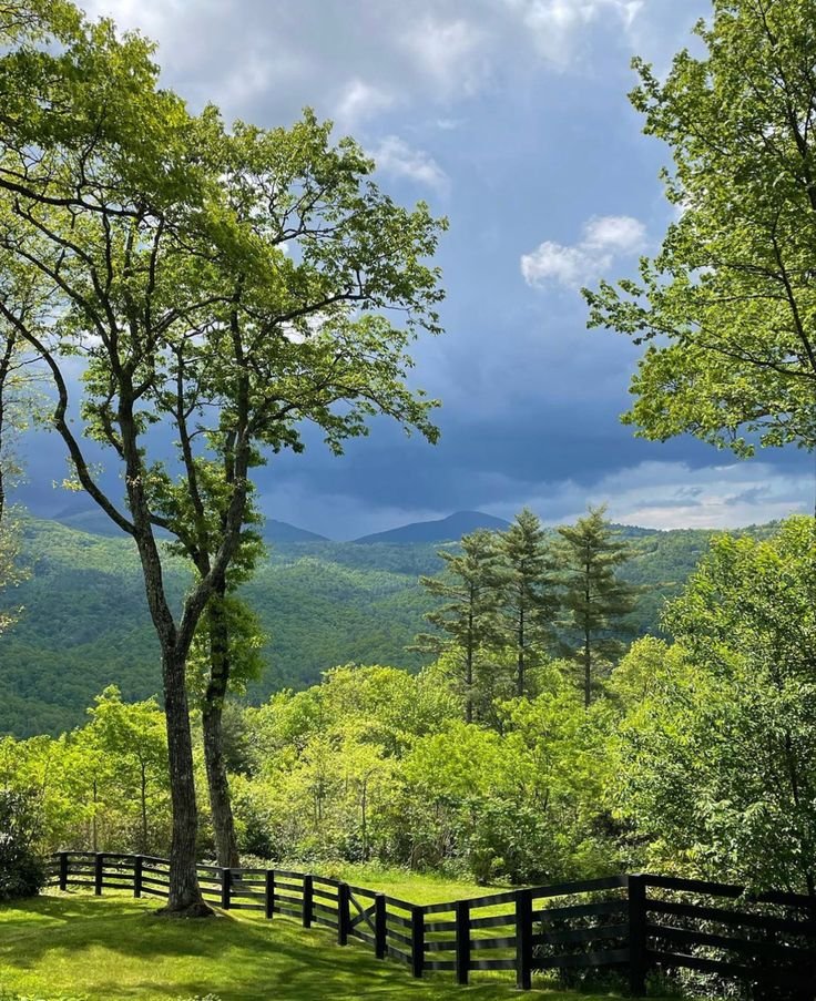 This may contain: a wooden fence in the middle of a lush green forest with mountains in the background