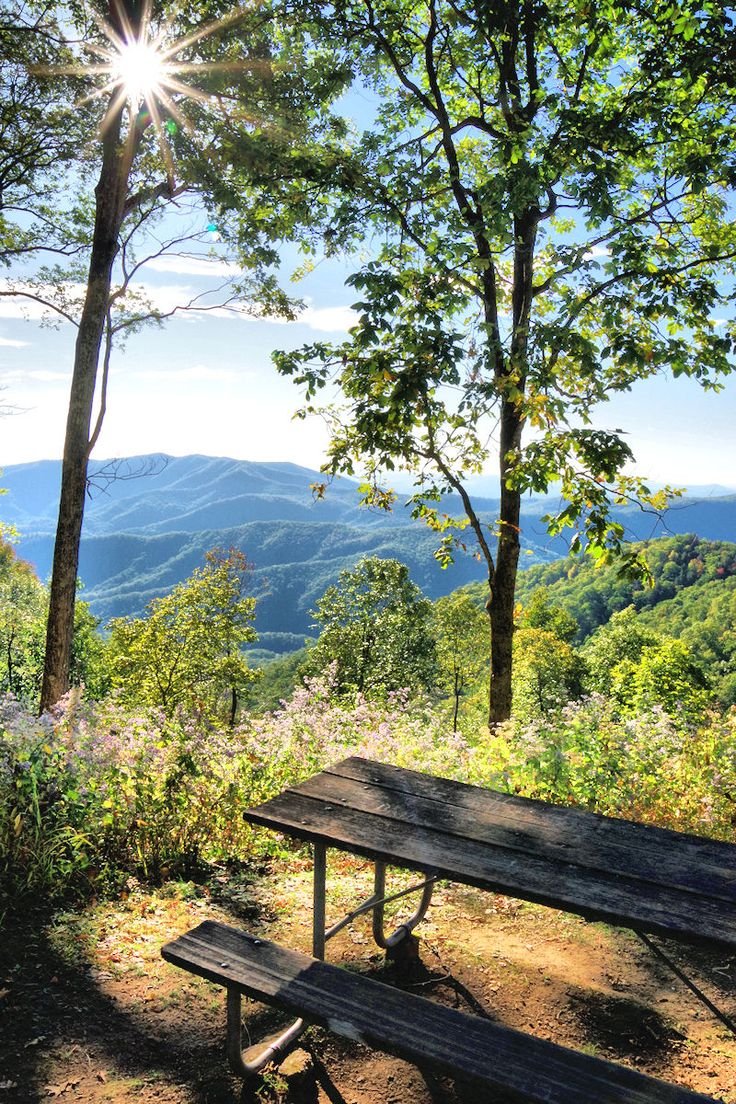 This may contain: an empty picnic table in the middle of a forest