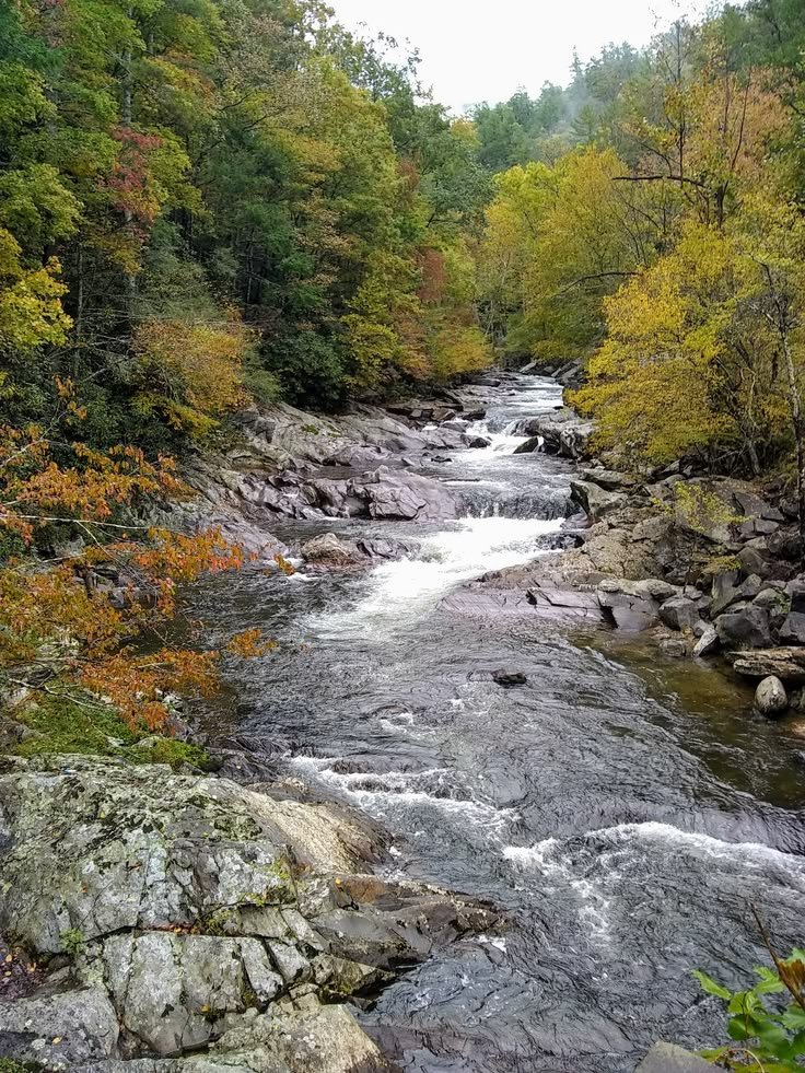 This may contain: a river running through a forest filled with lots of rocks and trees in the background