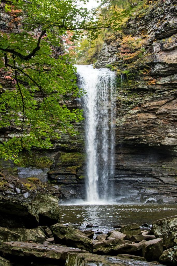 This may contain: a large waterfall in the middle of a forest