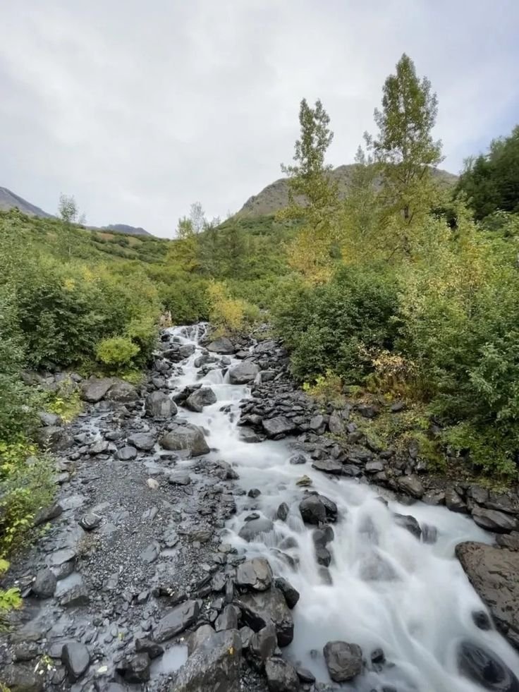 This may contain: a stream running through a lush green forest filled with rocks and trees on a cloudy day