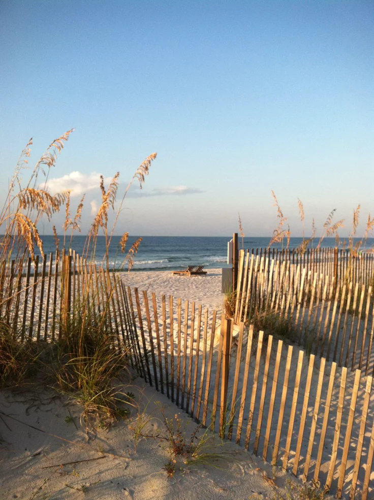This may contain: the beach is fenced off with sea oats