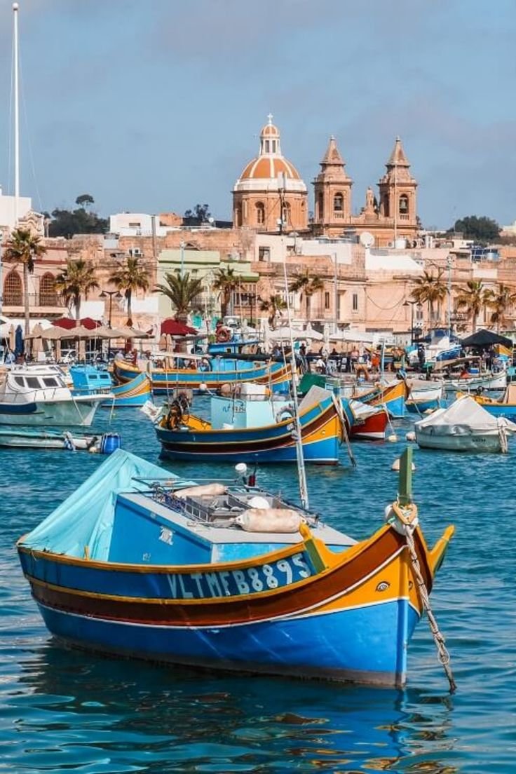 This may contain: many small boats are in the water near some buildings and palm trees on the shore