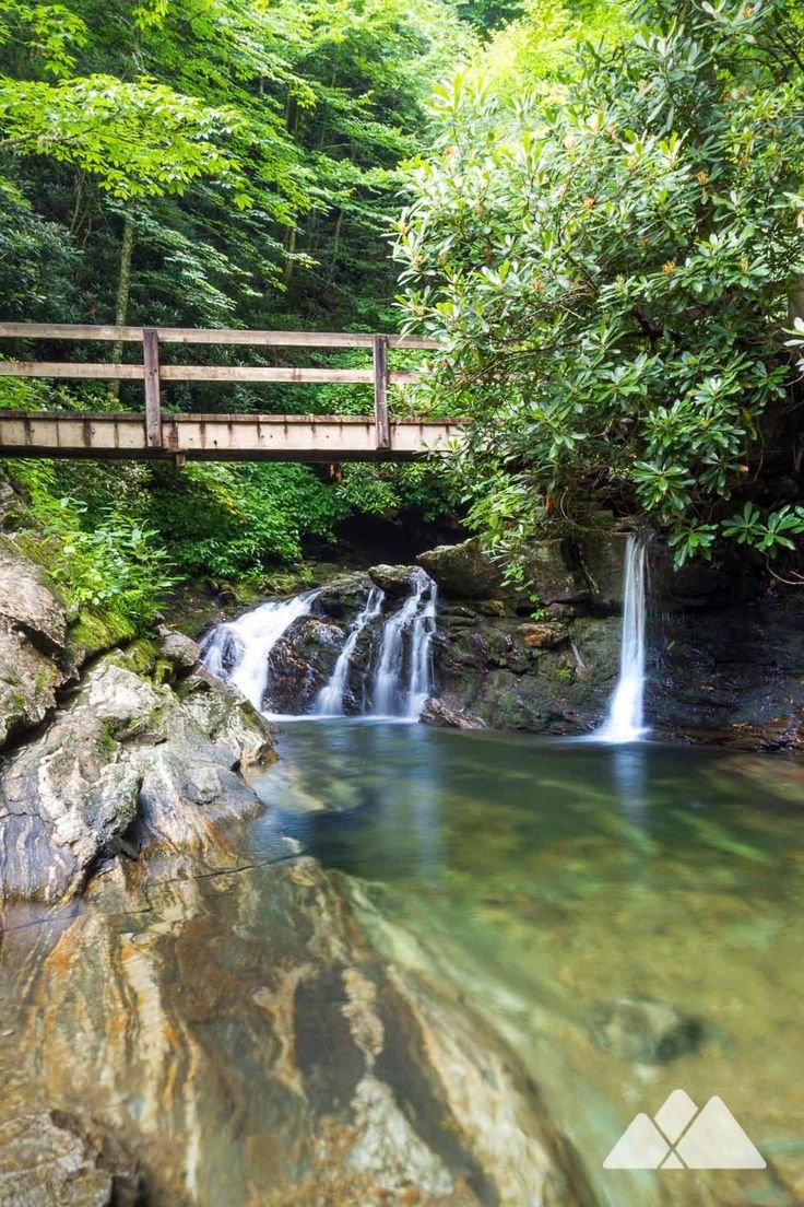 This may contain: a small waterfall in the middle of a forest with a wooden bridge over it and green foliage