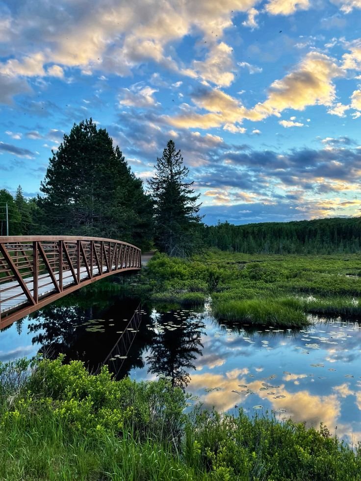 This may contain: a wooden bridge crosses over a small pond in the middle of a grassy area under a cloudy sky