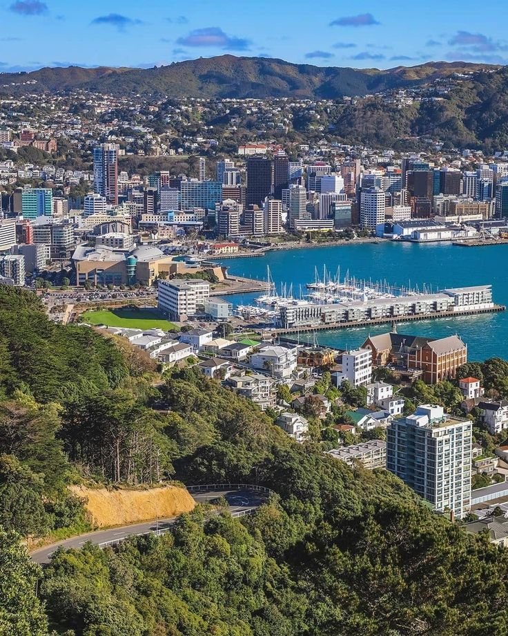 This may contain: an aerial view of a city with boats in the water and trees surrounding it,
