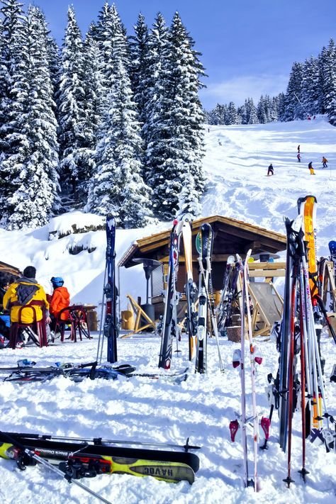 This may contain: many skis and snowboards are lined up in the snow