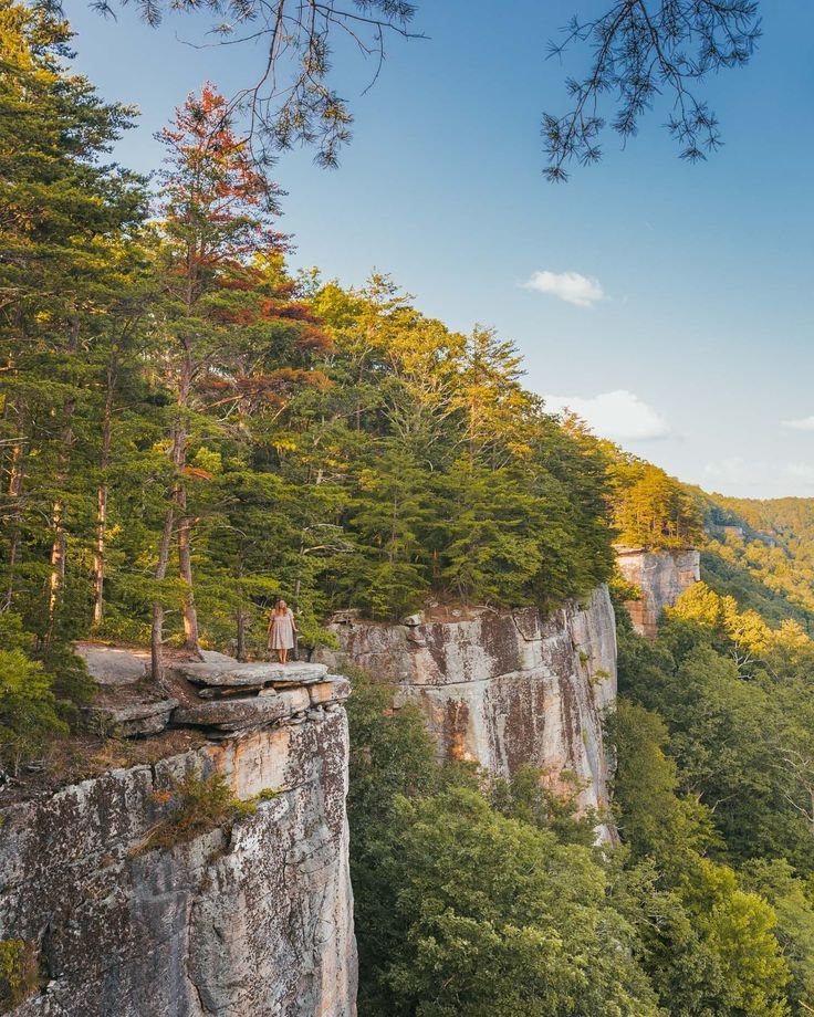 This may contain: a person standing on top of a cliff in the middle of a wooded area with trees