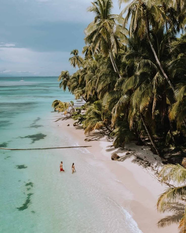 This may contain: two people are walking on the beach in front of palm trees and clear blue water