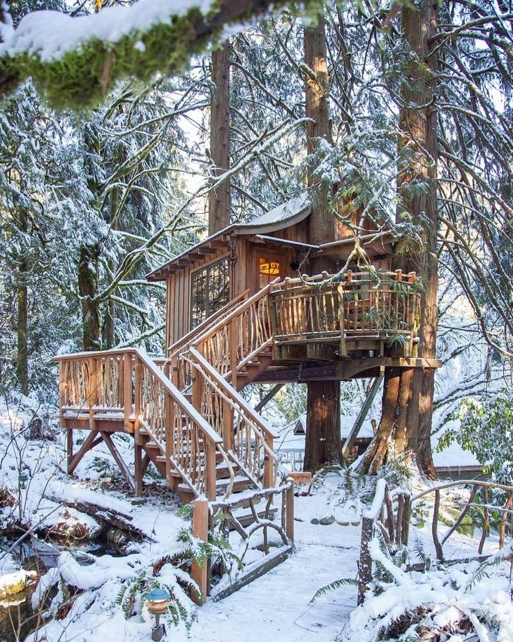 This may contain: a tree house in the woods with snow on the ground and stairs leading up to it