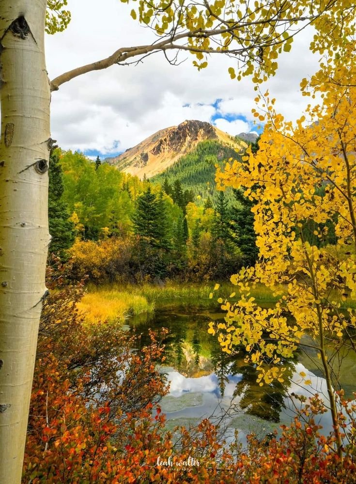 This may contain: a river surrounded by trees with yellow leaves on it and a mountain in the background