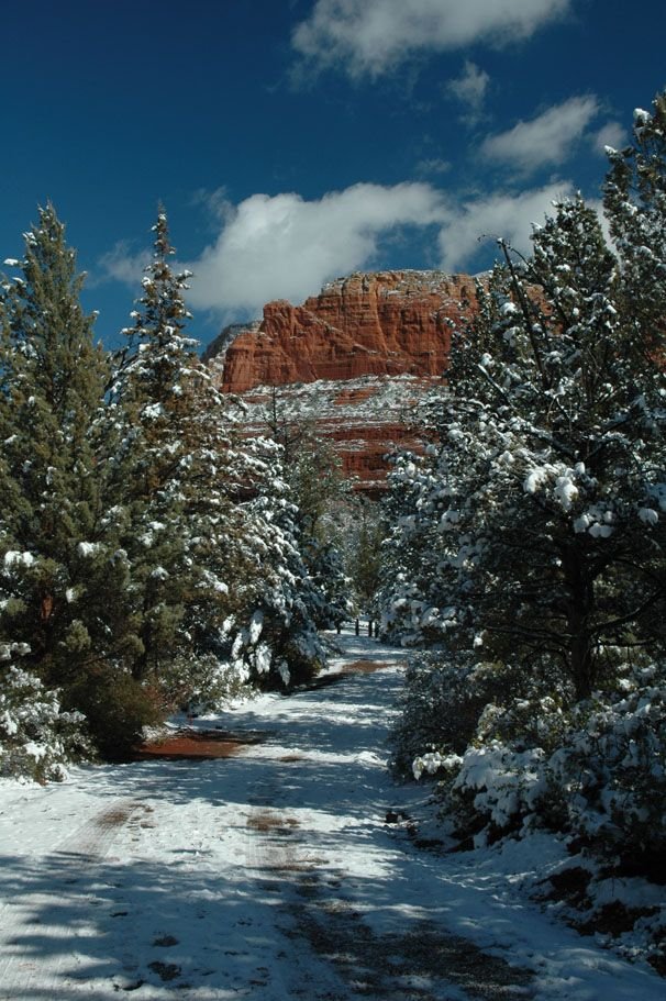 This may contain: snow covered trees line the side of a snowy road in front of a red rock formation