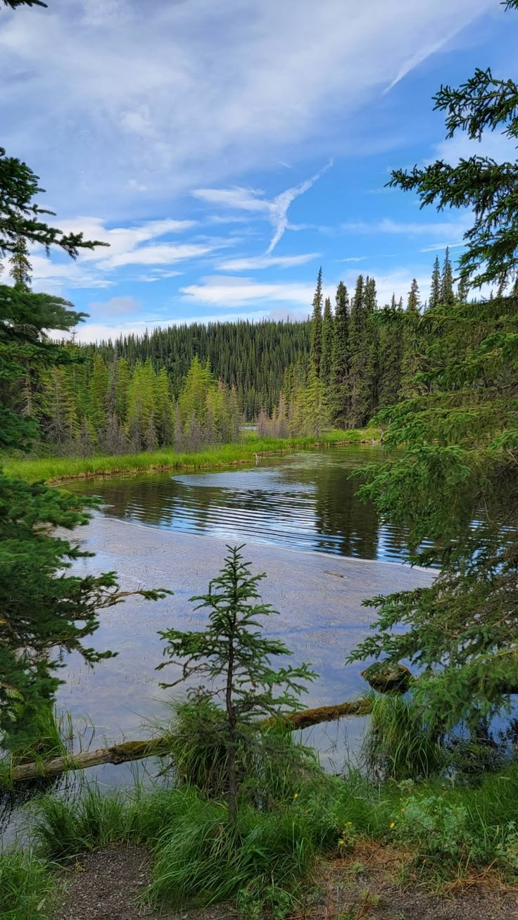 This may contain: a lake surrounded by trees and grass in the middle of a forest with blue sky