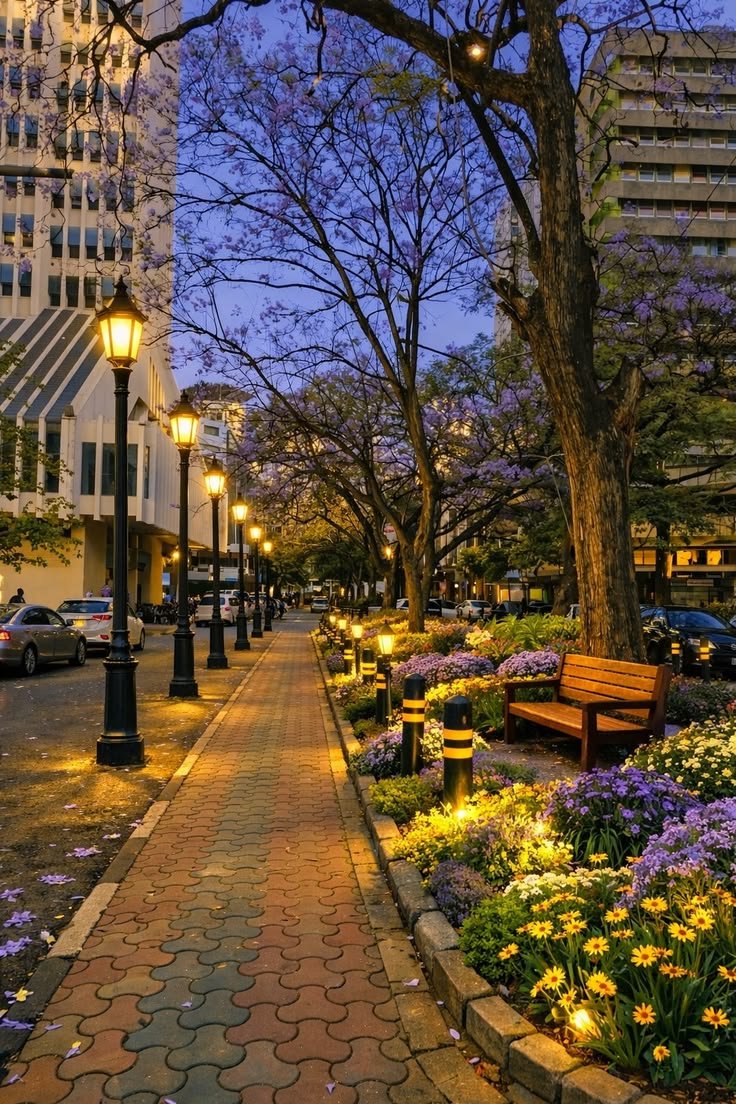 This may contain: a city street with benches and flowers on the side walk at night in front of tall buildings
