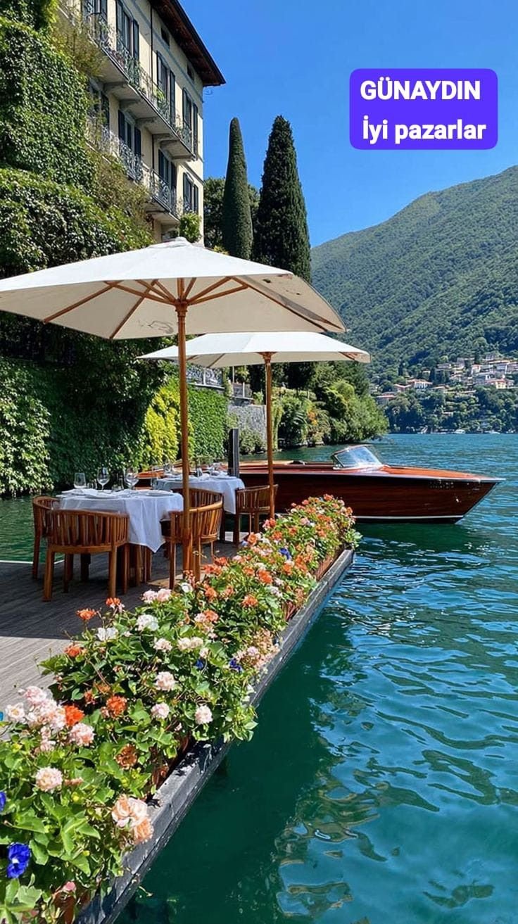 This may contain: an outdoor dining area next to a body of water with flowers in the foreground