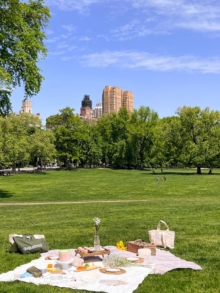 This may contain: a picnic is set out in the middle of a grassy field with trees and buildings in the background