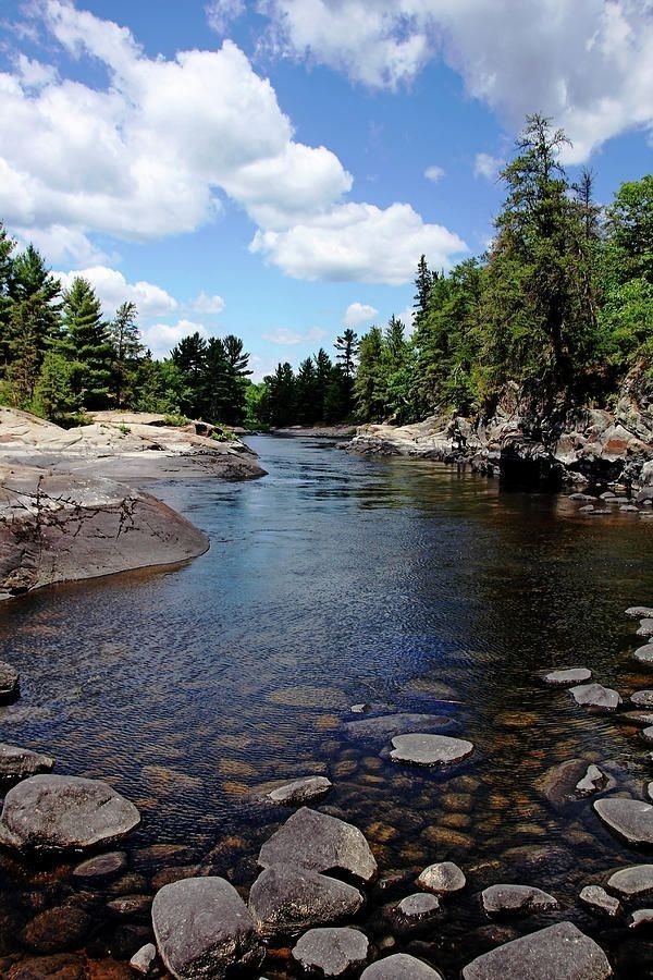 This may contain: a river running through a forest filled with rocks
