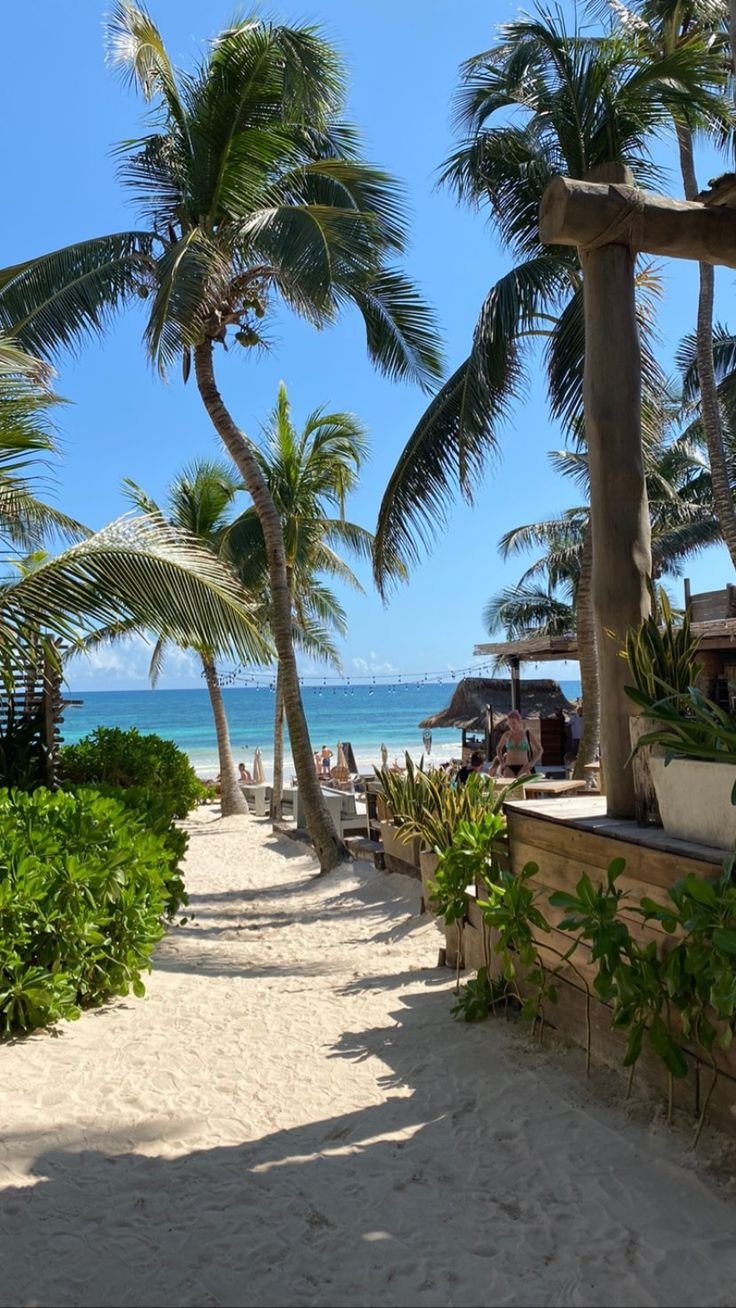 This may contain: the beach is lined with palm trees and chairs