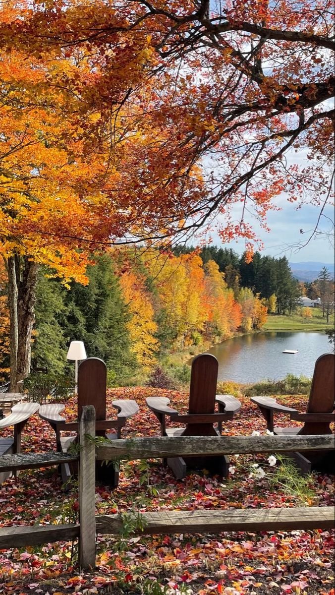 This may contain: an autumn scene with benches and fall leaves on the ground near a body of water