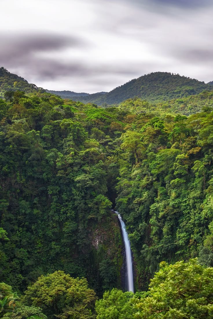 This may contain: a waterfall surrounded by lush green trees in the middle of a forest with mountains in the background