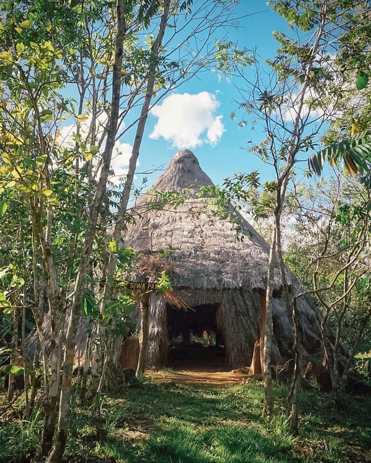 This may contain: a small hut in the middle of some trees