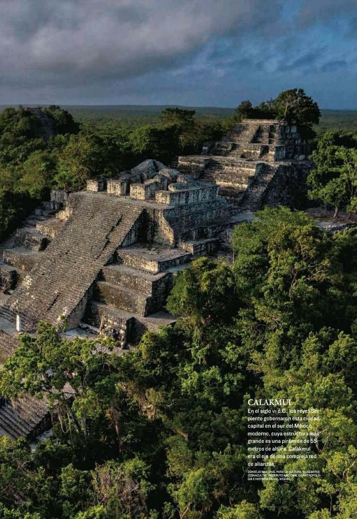 This may contain: an aerial view of the ruins and surrounding trees