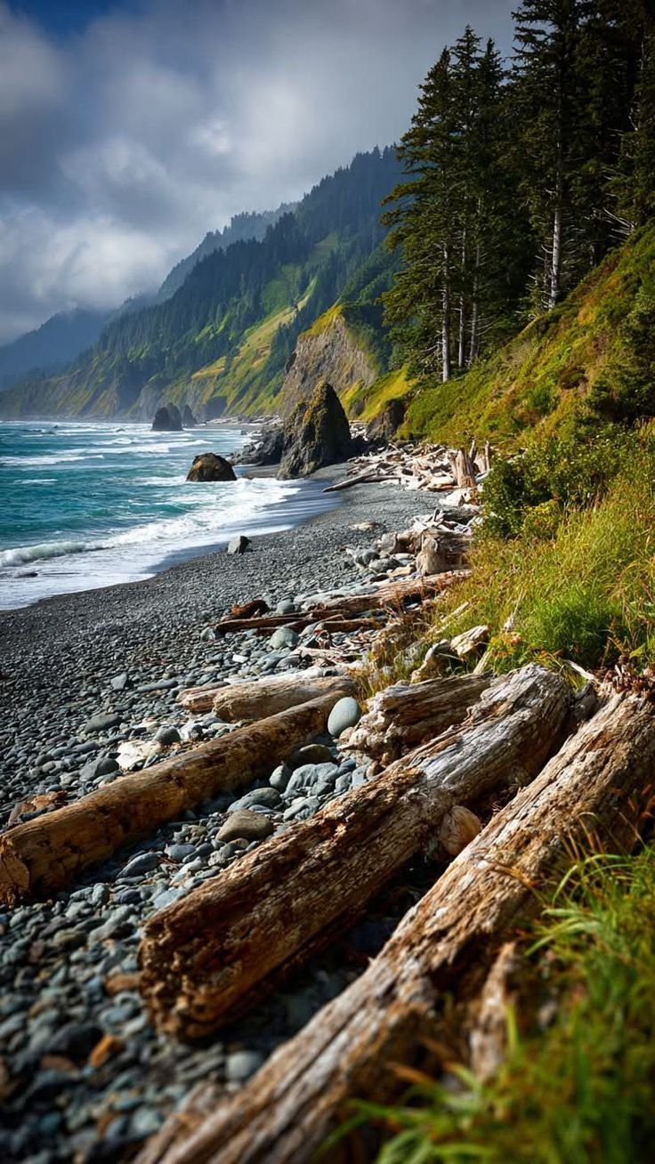 This may contain: a rocky beach next to the ocean with lots of trees
