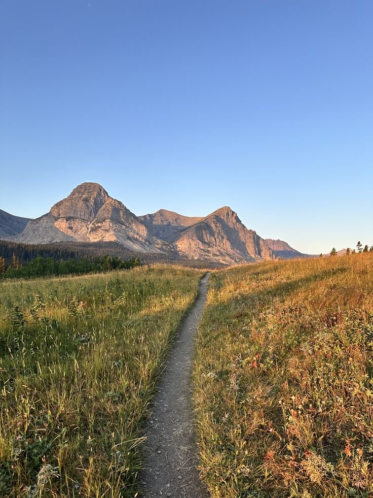 This may contain: a trail winds through a grassy field with tall mountains in the backgrouds