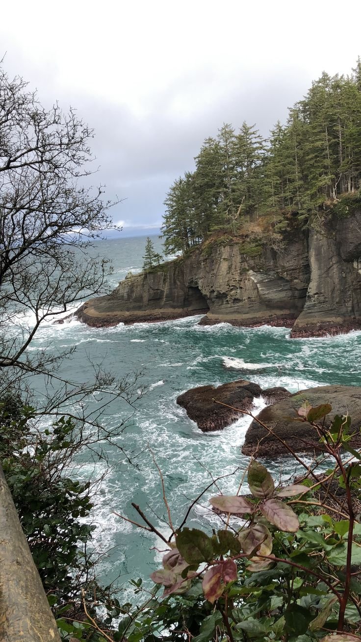 This may contain: an ocean view with rocks and trees in the foreground
