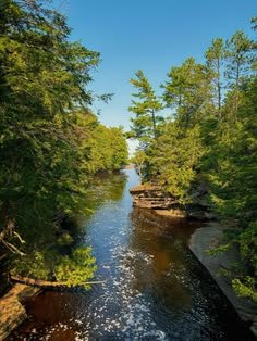 This may contain: a river running through a lush green forest