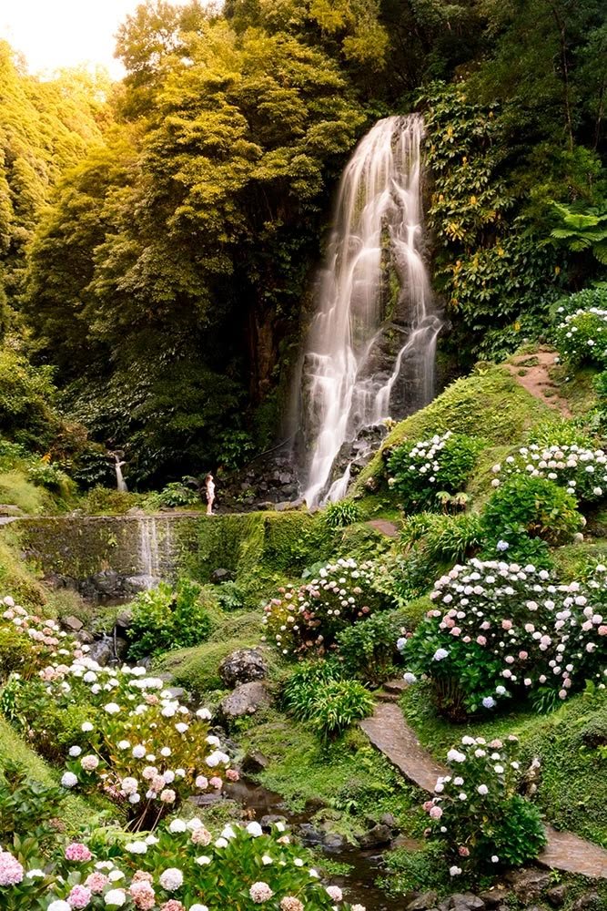 This may contain: a waterfall surrounded by lush green vegetation and flowers in the foreground, with a person standing at the bottom