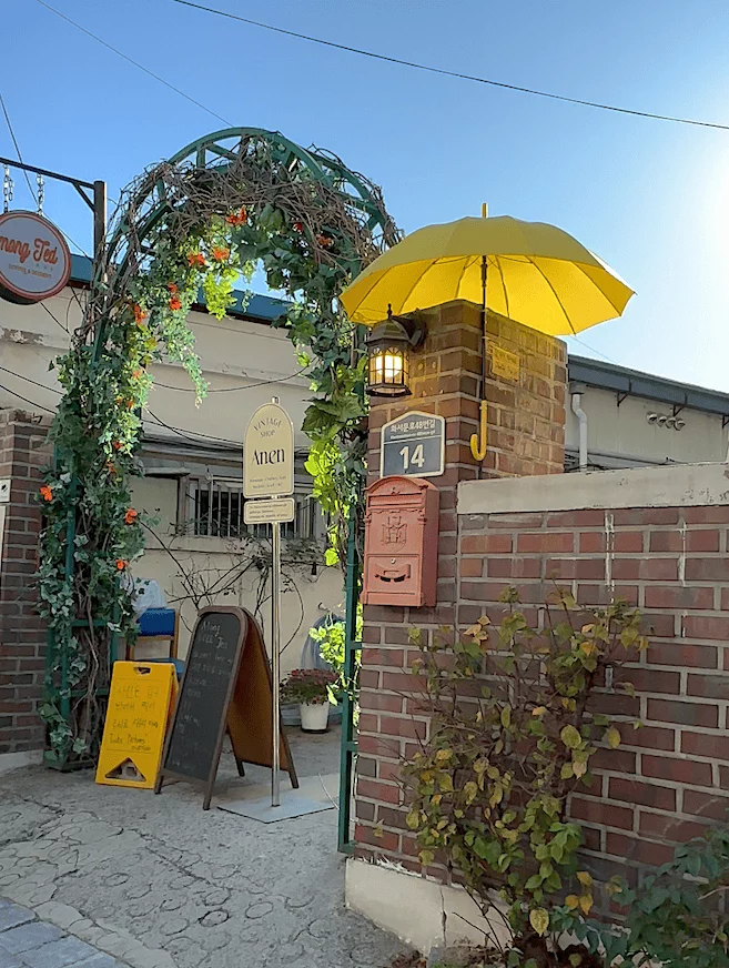 This may contain: an open umbrella sitting on top of a brick wall