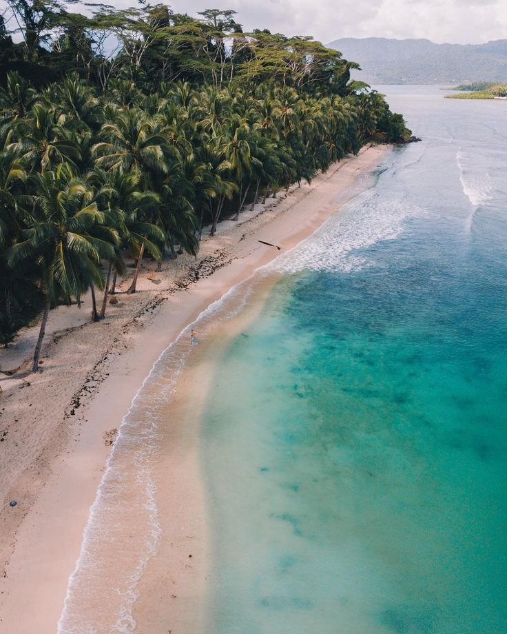 This may contain: an aerial view of a beach with palm trees and the ocean in the foreground