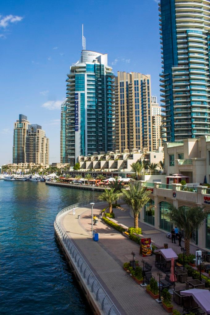 This may contain: the city is next to the water with tall buildings on both sides and palm trees in the foreground