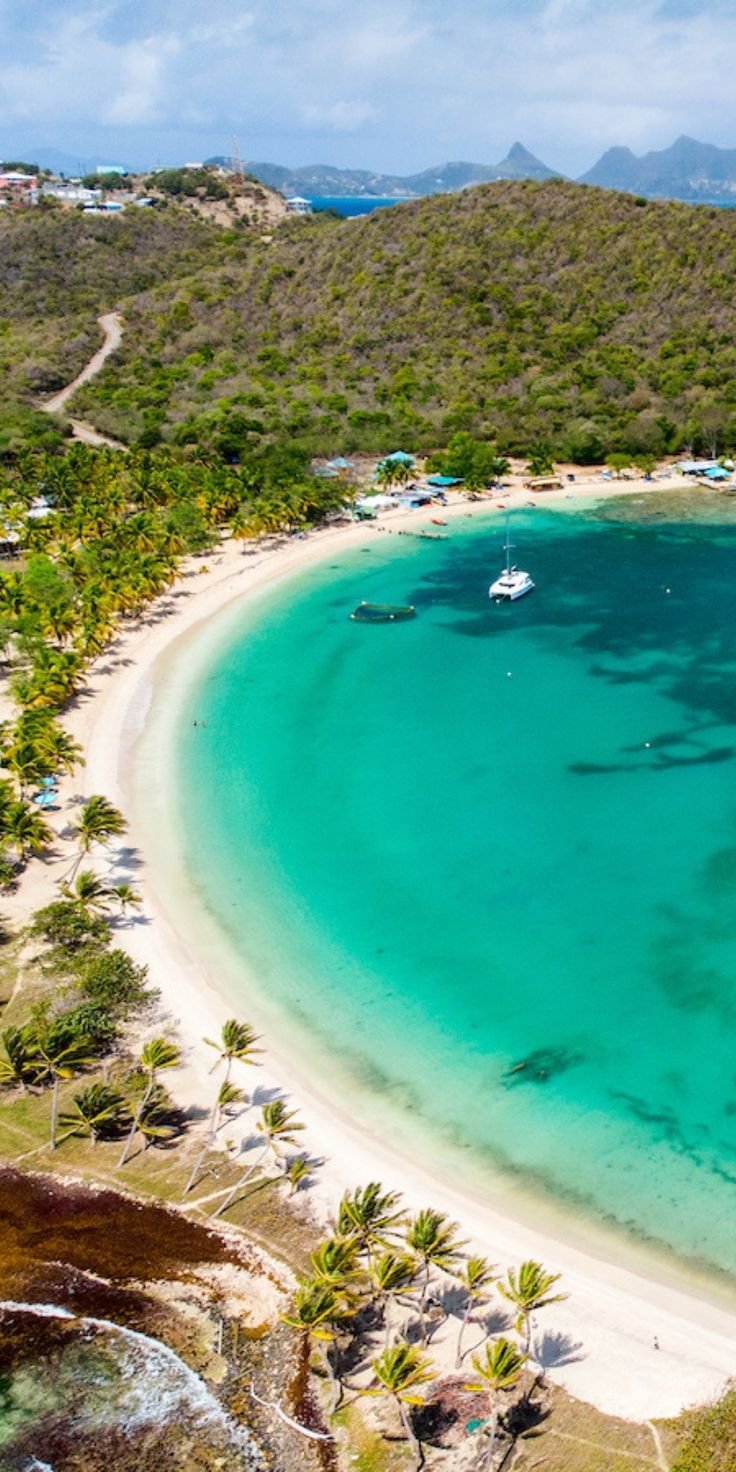 This may contain: an aerial view of a beach with boats in the water and palm trees surrounding it