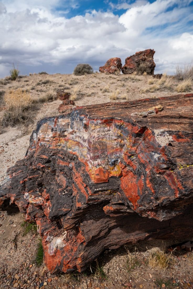 This contains: Best Things to Do in Petrified Forest National Park